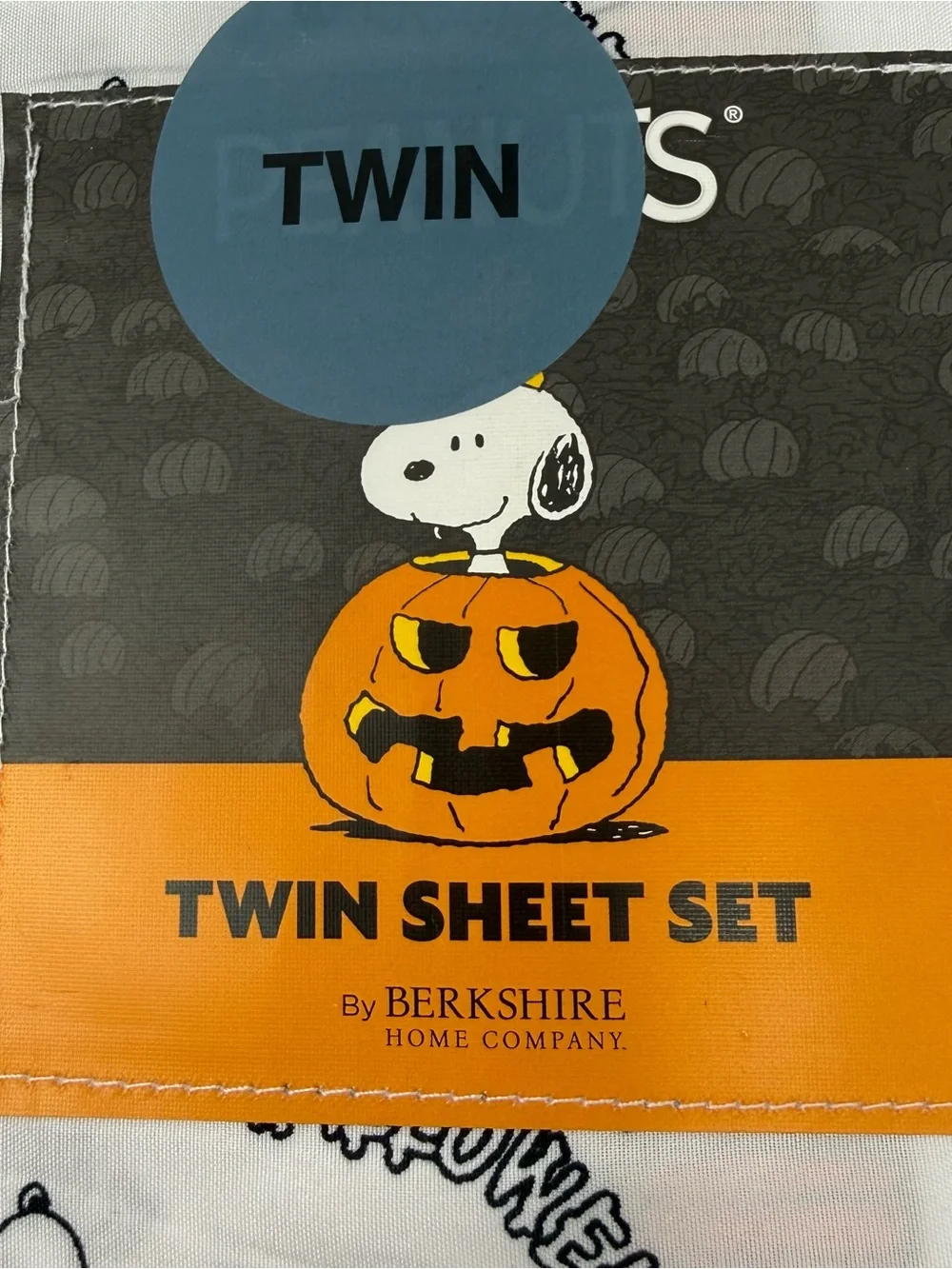 Snoopy Peanuts Fall Halloween Twin Sheet set New